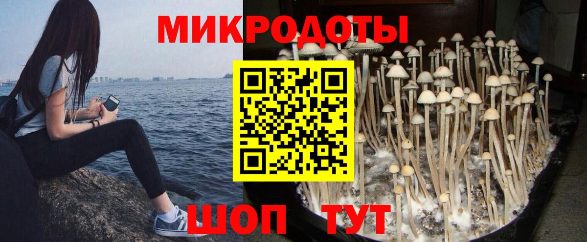 Псилоцибиновые грибы мицелий  Вход с VPN  Южноуральск 